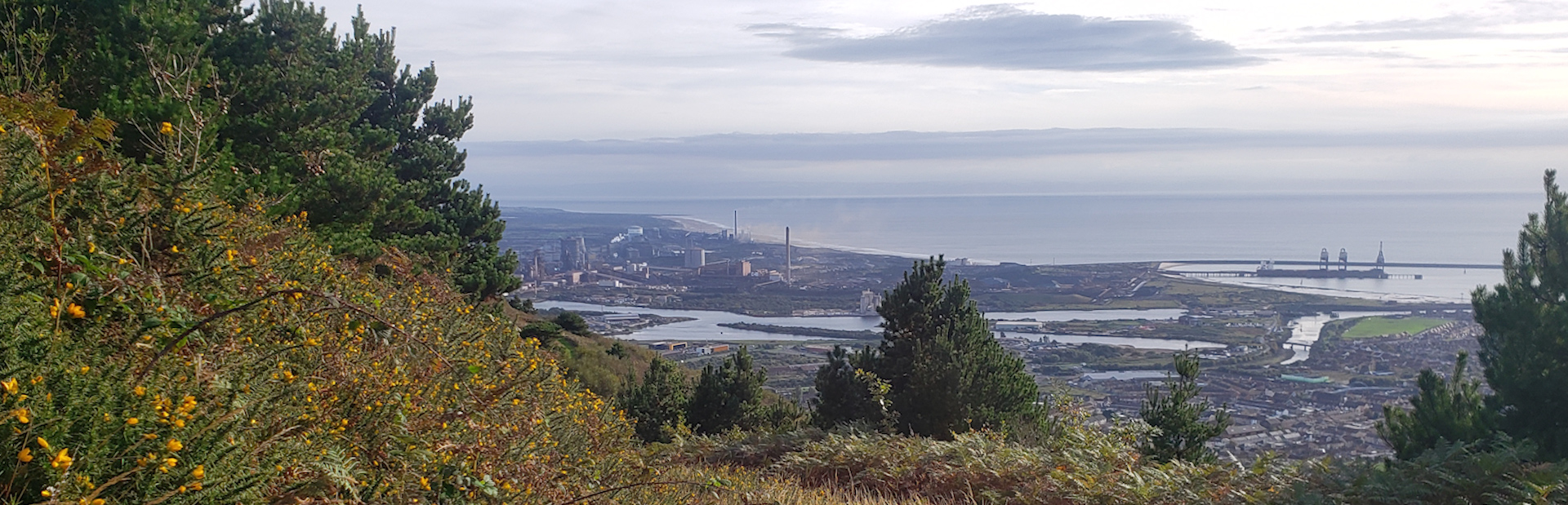 View of Port Talbot Steelworks and Harbour from Mynydd Dinas